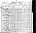 1900 United States Federal Census Record - York, Carroll County, Illinois - Sheet 9