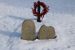 Augustine Le Rossignol Jean and Elizabeth Markepeace Brown Headstones