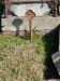 Dorothy Margaret Kewley Headstone